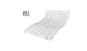 Zudecke dormabell Leinen Edition WB 1