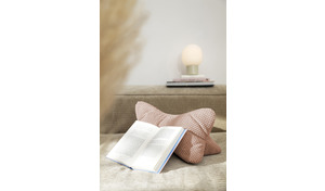 LESEKNOCHEN
